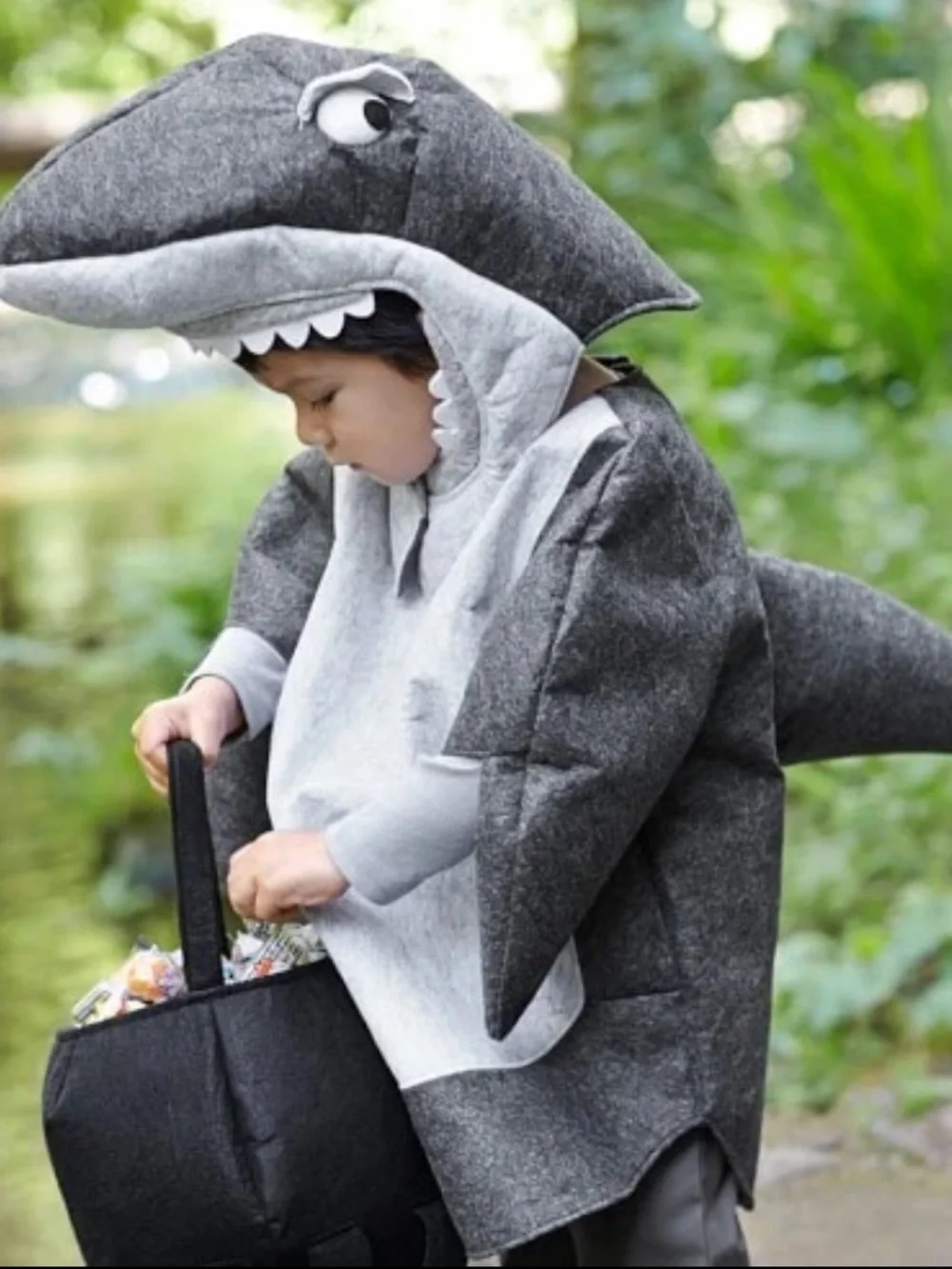Pottery Barn Kids Shark Costume & Treat bag